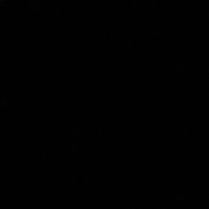 Meet your Posher, George